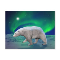 Polar Bear postcards