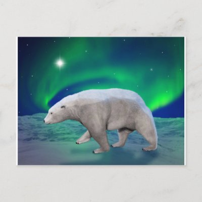 Polar Bear postcards