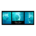 Polar Bear posters