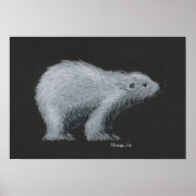 Polar Bear Poster print