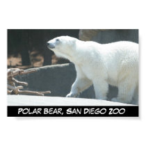 Polar Bear Poster posters by norcalphoto Polar Bear Poster posters