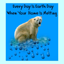 Polar Bear posters