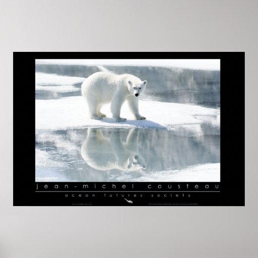 Polar Bear Poster