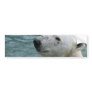 Polar Bear Profile Bumper Stickers