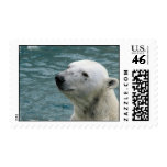 Polar Bear Profile Stamp