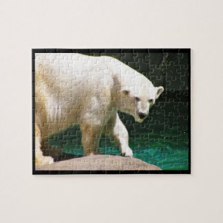 POLAR BEAR puzzle