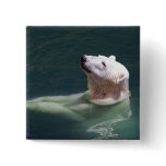 Polar bear resting button
