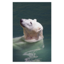 Polar bear resting customized stationery