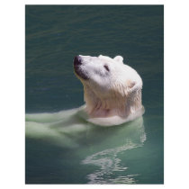 Polar bear resting letterhead design