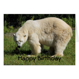 Polar Bear Birthday Cards | Zazzle