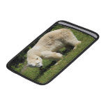 Polar Bear Scowling Rickshaw Sleeve Sleeves For MacBook Air