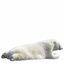 POLAR BEAR (sculpted) Wildlife Gift Item Photo Sculptures