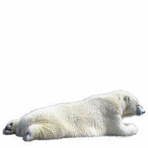 POLAR BEAR (sculpted) Wildlife Magnet Acrylic Cut Out