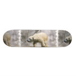 polar bear, bear, polar bears, bears, polar, mammal, zoo, animal, arctic, north pole, wildlife, wild animal, white bear, white polar bear, arctic bear, wild life, mammals, animals, antarctica, white polar bears, polar bear photo, polar bear picture, bear photo, bear picture, bear cub, polar bear cub, cub
