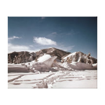 Polar Bear Snow Sculpture Canvas Print