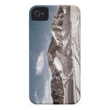 Polar Bear Snow Sculpture Case-Mate iPhone 4 Case