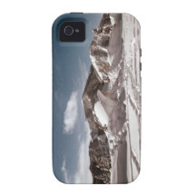 Polar Bear Snow Sculpture Case-Mate iPhone 4 Cases