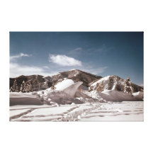 Polar Bear Snow Sculpture Gallery Wrapped Canvas