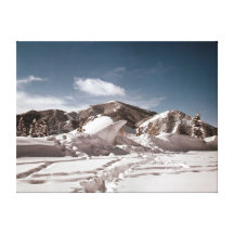 Polar Bear Snow Sculpture Gallery Wrapped Canvas