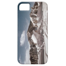 Polar Bear Snow Sculpture iPhone 5 Cases