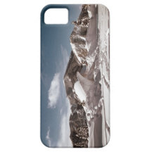 Polar Bear Snow Sculpture iPhone 5 Covers
