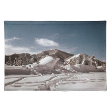 Polar Bear Snow Sculpture Place Mats