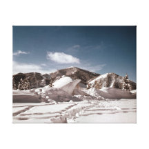 Polar Bear Snow Sculpture Stretched Canvas Print