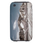 Polar Bear Snow Sculpture Tough iPhone 3 Case