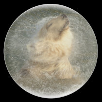 Polar bear splash plates