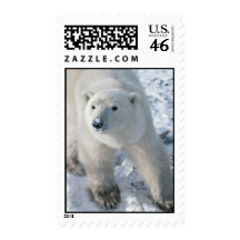 Polar Bear Stamp