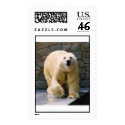 Polar Bear Stamp