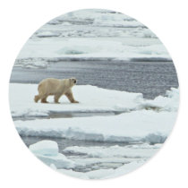 Polar Bear Stickers