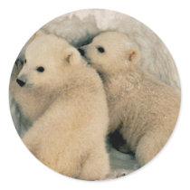 Polar Bear Sticker