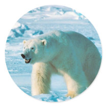 Polar Bear Round Sticker