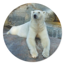 Polar Bear stickers