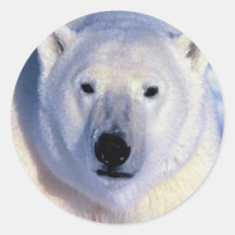 Polar Bear Stickers