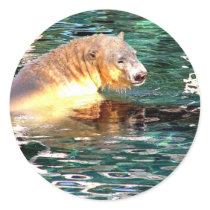 Polar Bear Swim stickers by epclarke Polar Bear Swim stickers