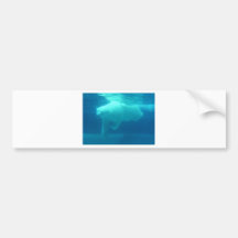 Polar Bear Underwater Bumper Stickers
