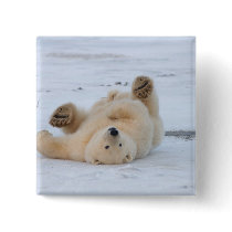 polar bear, Ursus maritimus, cub rolling 3 Buttons