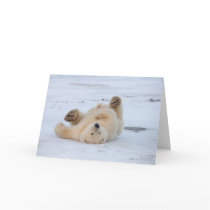 polar bear, Ursus maritimus, cub rolling 3 Greeting Card