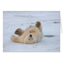 polar bear, Ursus maritimus, cub rolling 3 Greeting Card