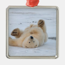 polar bear, Ursus maritimus, cub rolling 3 Christmas Ornament