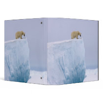 polar bear, Ursus maritimus, on a giant Binders