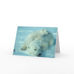 Polar bear with cub greeting cards