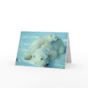 Polar bear with cub cards by moxieann Polar bear with cub cards