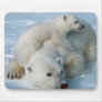 Polar_bear_with_cub Mouse Mats