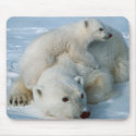 Polar_bear_with_cub mousepads by WildByDezign Polar_bear_with_cub mousepads