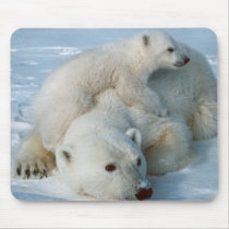 Polar_bear_with_cub mousepads by WildByDezign Polar_bear_with_cub mousepads