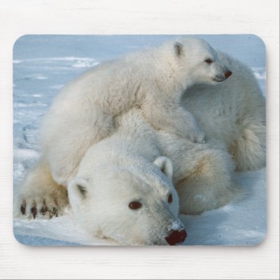 Polar_bear_with_cub Mouse Mats by WildByDezign
