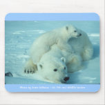 Polar bear with cub mouse pads